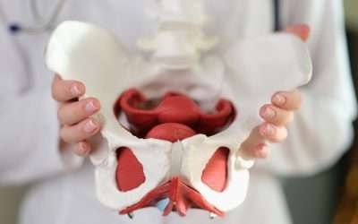 Pelvis y caderas. Las protagonistas de la salud femenina