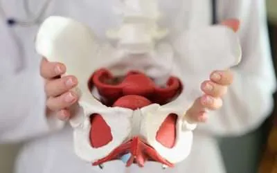 Pelvis y caderas. Las protagonistas de la salud femenina