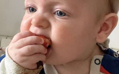 Alimentación complementaria. ¿Cuándo debe comenzar?